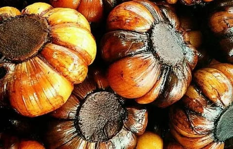 قیمت سیرترشی